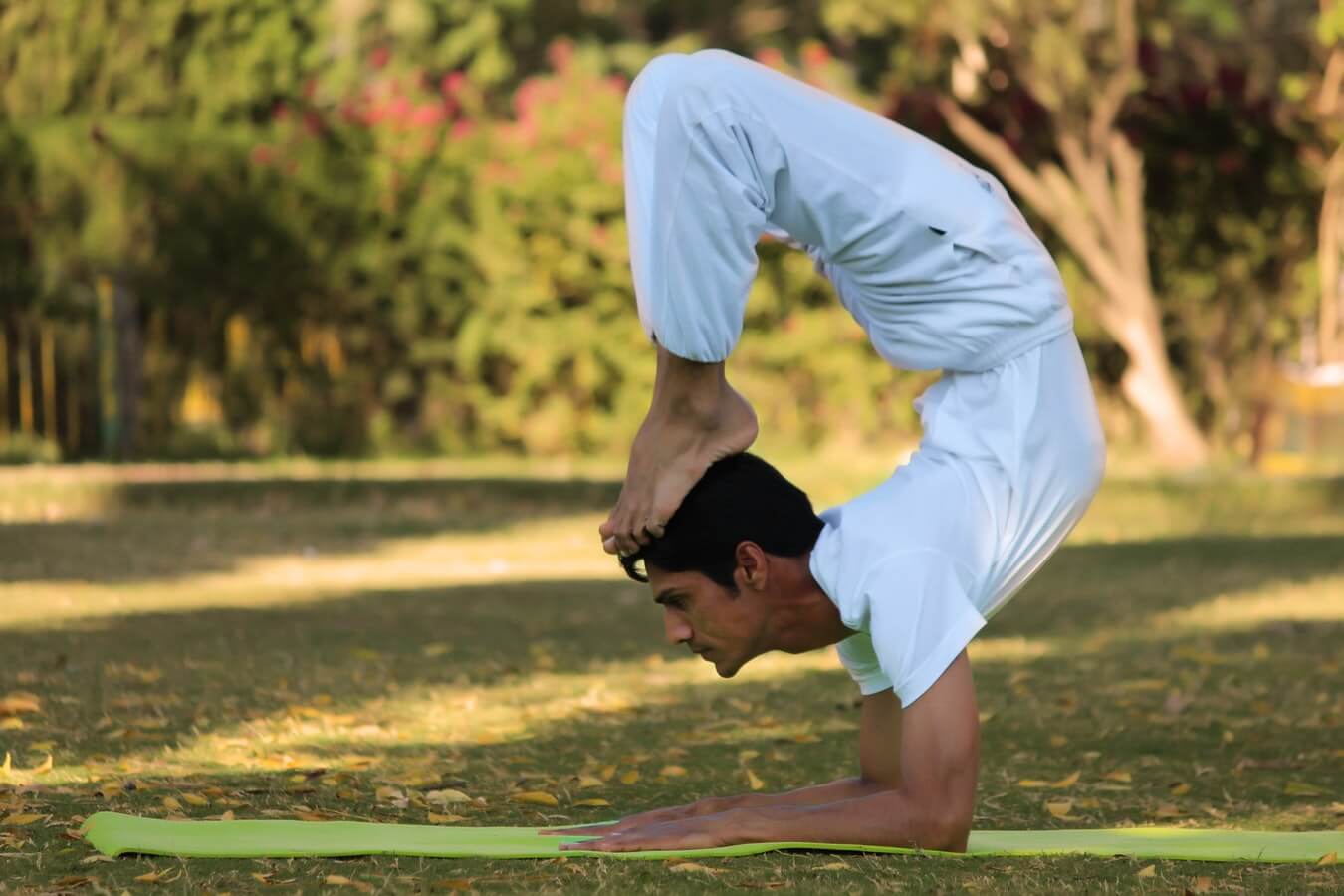 yoga-lehrer-gehalt